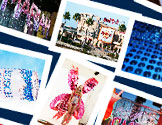solaray photo gallery link